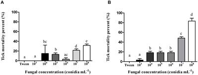 Ultrastructural and Cytotoxic Effects of Metarhizium robertsii Infection on <mark class="highlighted">Rhipicephalus microplus</mark> Hemocytes